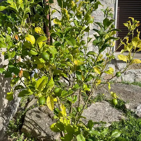 Casa Con Vistas Impresionantes *