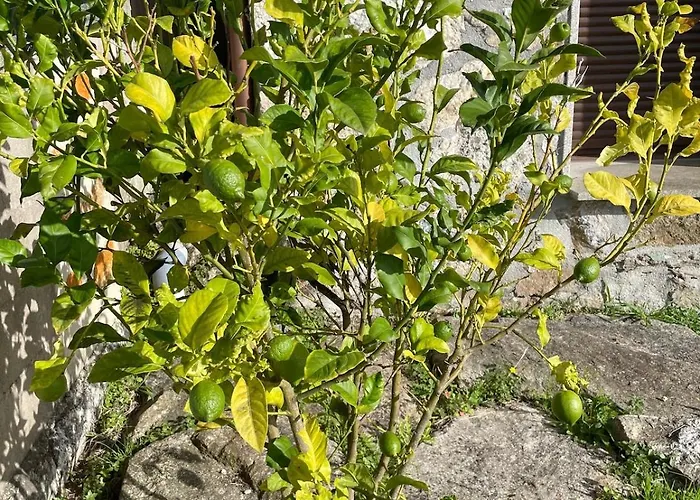 Casa Con Vistas Impresionantes *